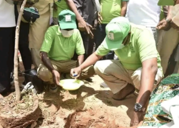 Gombe State Governor planting a tree under Gombe Goes Green project. Photo: Gombe Goes Green